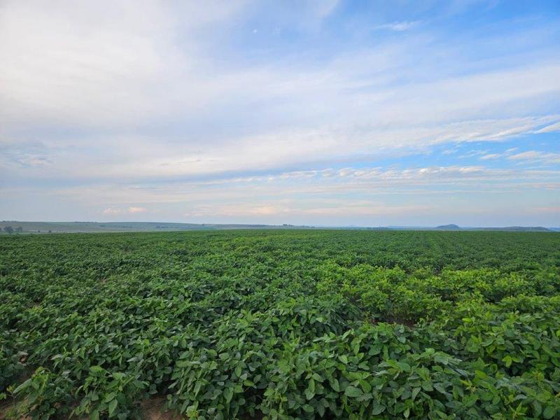 8 Bedroom Property for Sale in Bethlehem Rural Free State